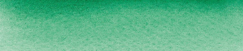 555 Leaf Green renk leke