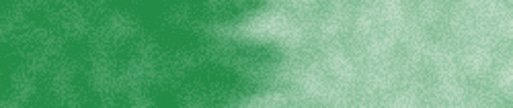 520 Permanent Green renk leke