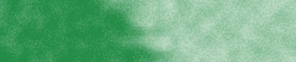 520 Permanent Green renk leke