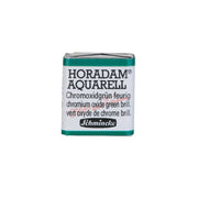 Schmincke Horadam Aquarell Artist Sulu Boya Chromium Oxide Green Brilliant 1/2 Tab.