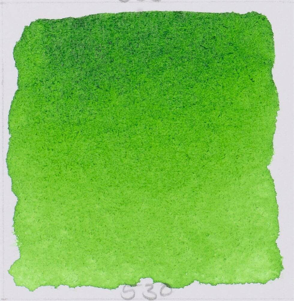 Schmincke Horadam Aquarell Artist Sulu Boya Sap Green 1/2 Tab.