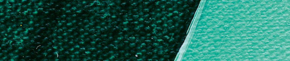 551 Phthalo Green renk leke