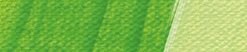 557 May Green renk leke