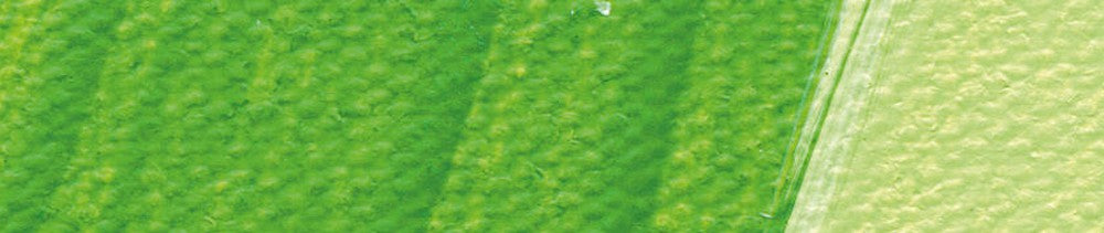 557 May Green renk leke