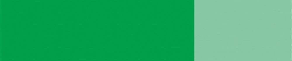 557 Leaf Green renk leke