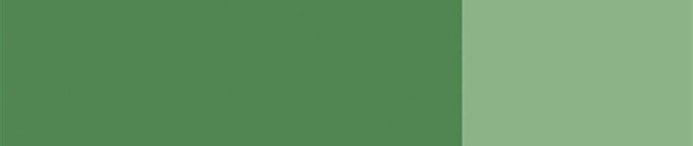 558 Chromium Oxide Green renk leke