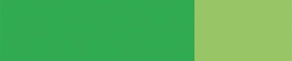560 Light Green renk leke