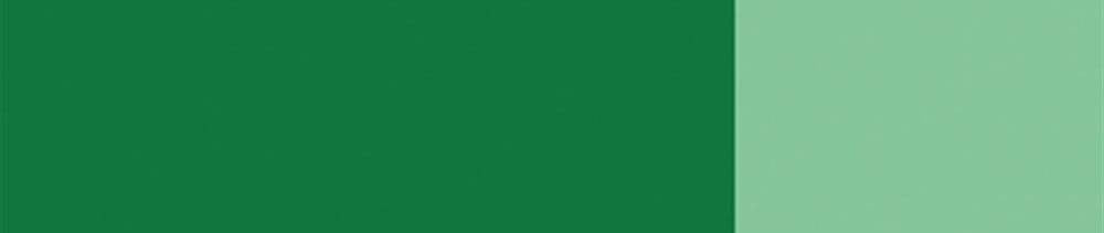 561 Fir Green renk leke