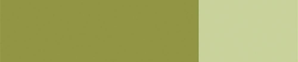 562 Olive Green renk leke