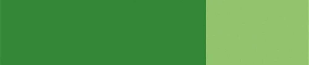 563 Sap Green renk leke