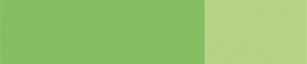 566 Permanent Green Light renk leke