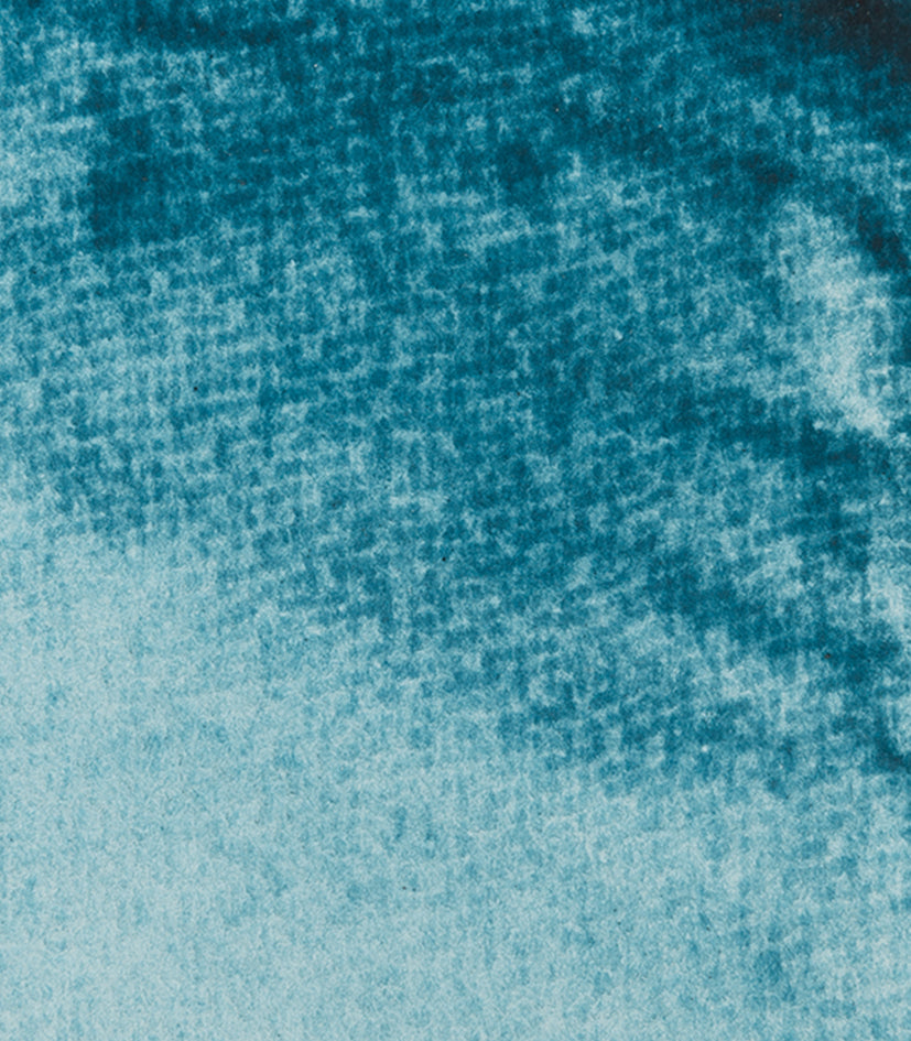 470 Indigofera