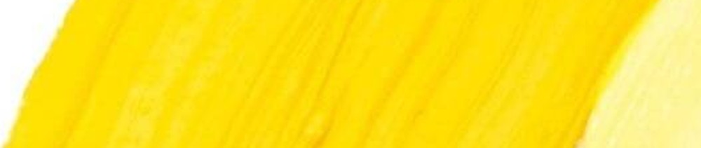 220 College Yellow renk leke