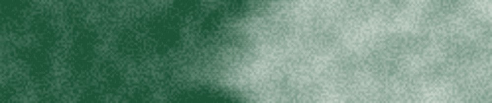 520 Dark Green renk leke