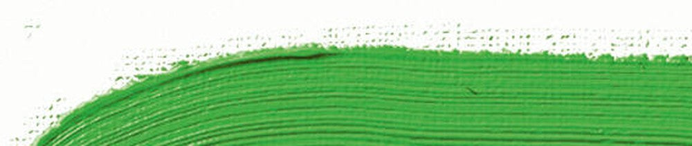500 May Green renk leke