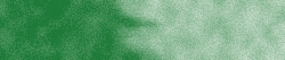 501 Pigment Yeşil renk leke