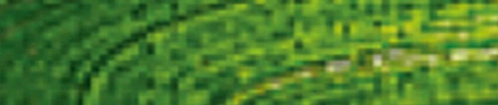 623 Sap Green renk leke