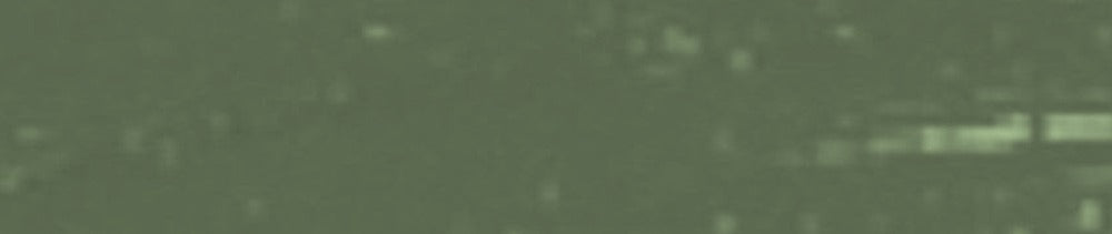 629 Green Earth renk leke