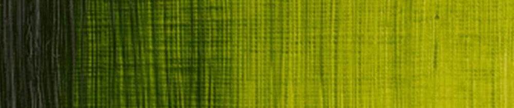 599 Sap Green renk leke