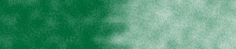 35 Dark Green renk leke