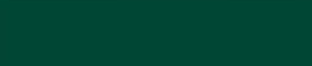 D064 Viridian renk leke