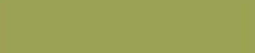 D065 Olive renk leke