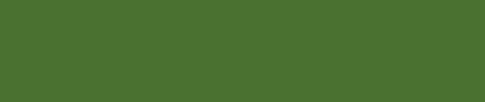 D066 Sap Green renk leke