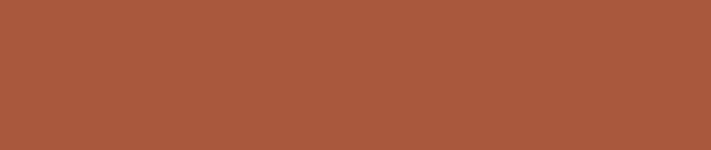 D131 Burnt Sienna renk leke