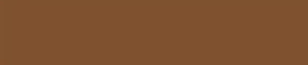 D133 Burnt Umber renk leke