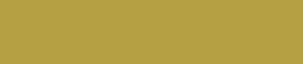 D156 Ash Yellow renk leke