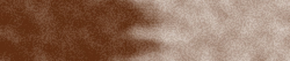 221 Burnt Sienna renk leke