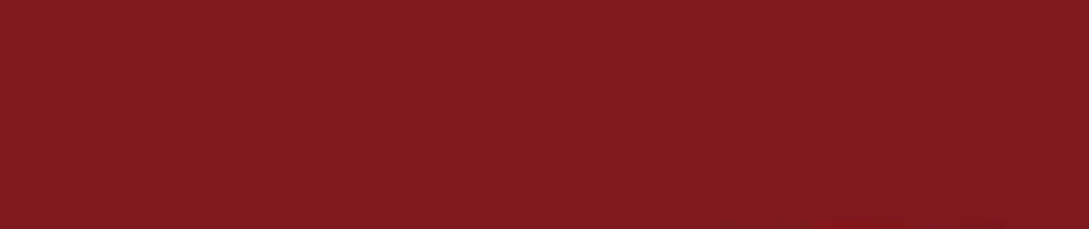 221 Burnt Sienna renk leke