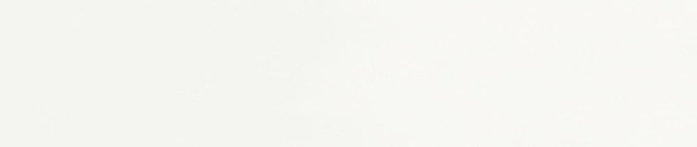 009 Titanium White renk leke