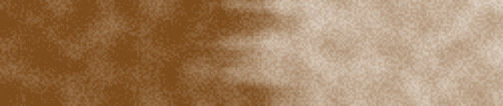 223 Burnt Umber renk leke