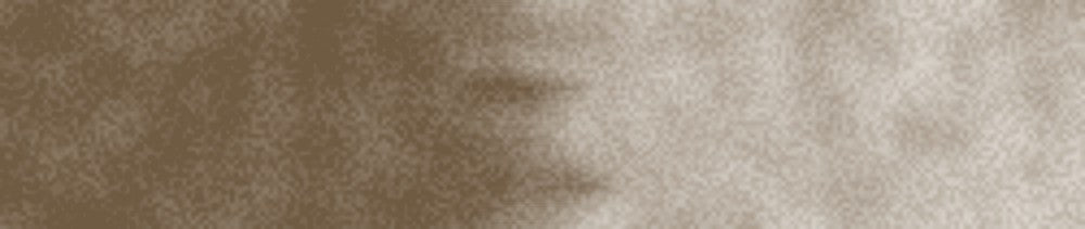 247 Raw Umber renk leke