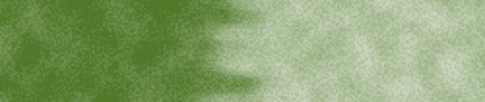 375 Sap Green renk leke