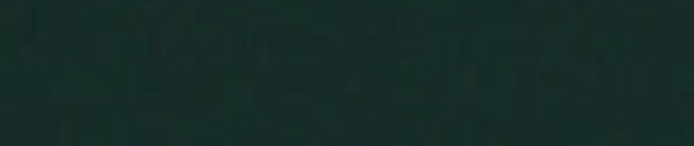 G548 Dark Green renk leke