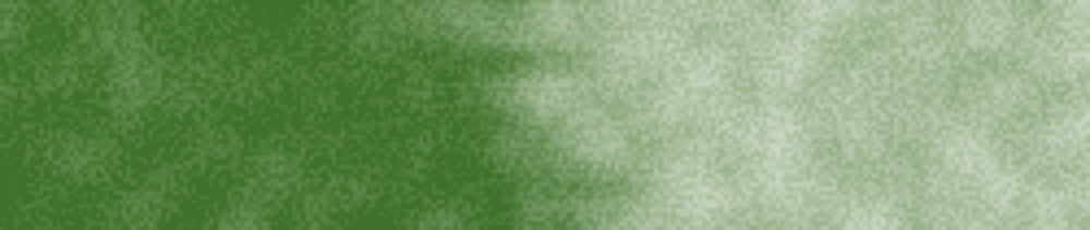 601 Light Green renk leke