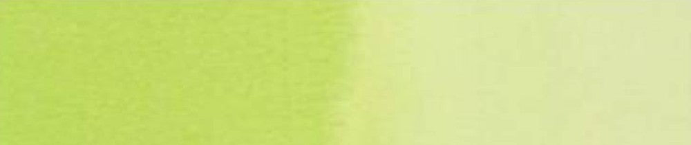 665 Spring Green renk leke