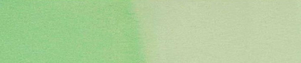 666 Pastel Green renk leke