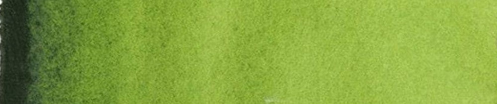 623 Sap Green renk leke