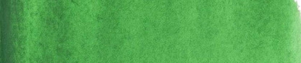 662 Permanent Green renk leke