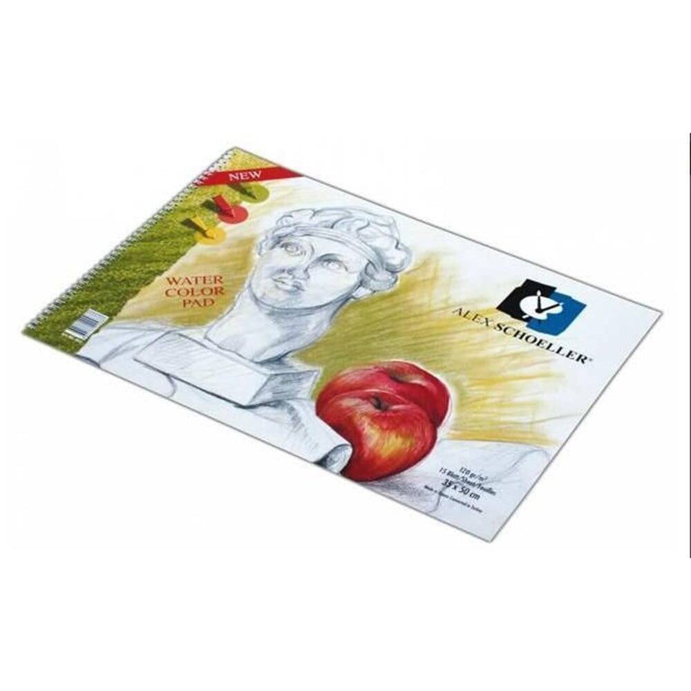 Alex Schooler İce Dokulu Resim Defteri 120 Gr 35*50 Cm