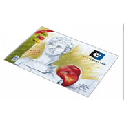 Alex Schooler İce Dokulu Resim Defteri 120 Gr 35*50 Cm
