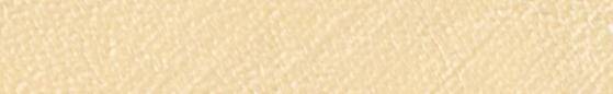Angelus Deri Boyası LP-156 Champagne