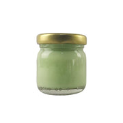 Art Elegant Seramik ve Çini Boya 40 gr 8824 İznik Turkuaz Yeşil