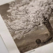 Awagami Japon Kağıdı Inkjet IJ-0325 Kozo Thin Natural Roll 111.8x15 m