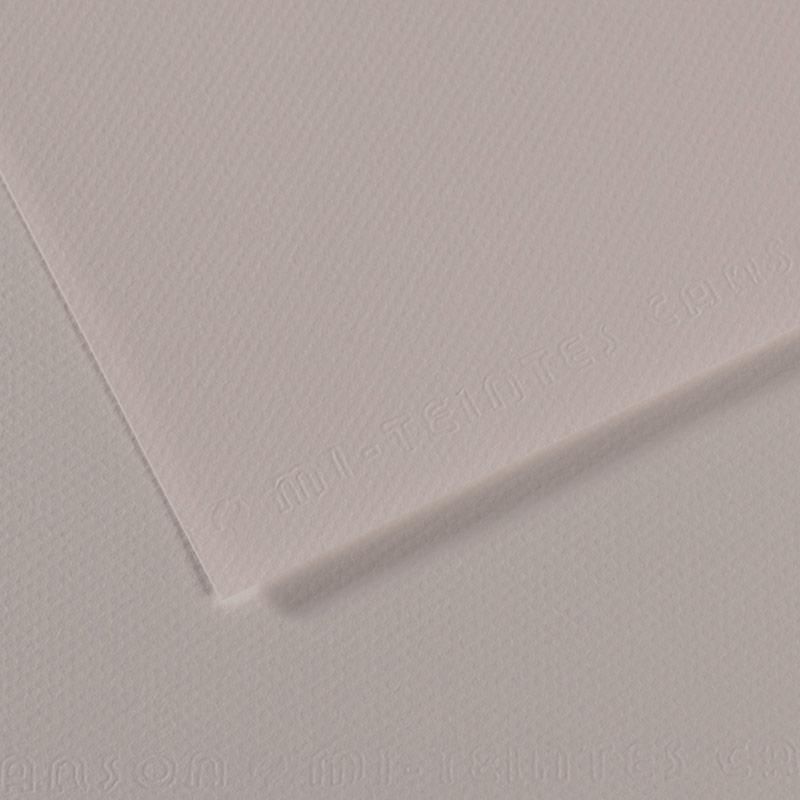 Canson Mi-Teintes Pastel Kağıdı 50x65 160g Grey 186