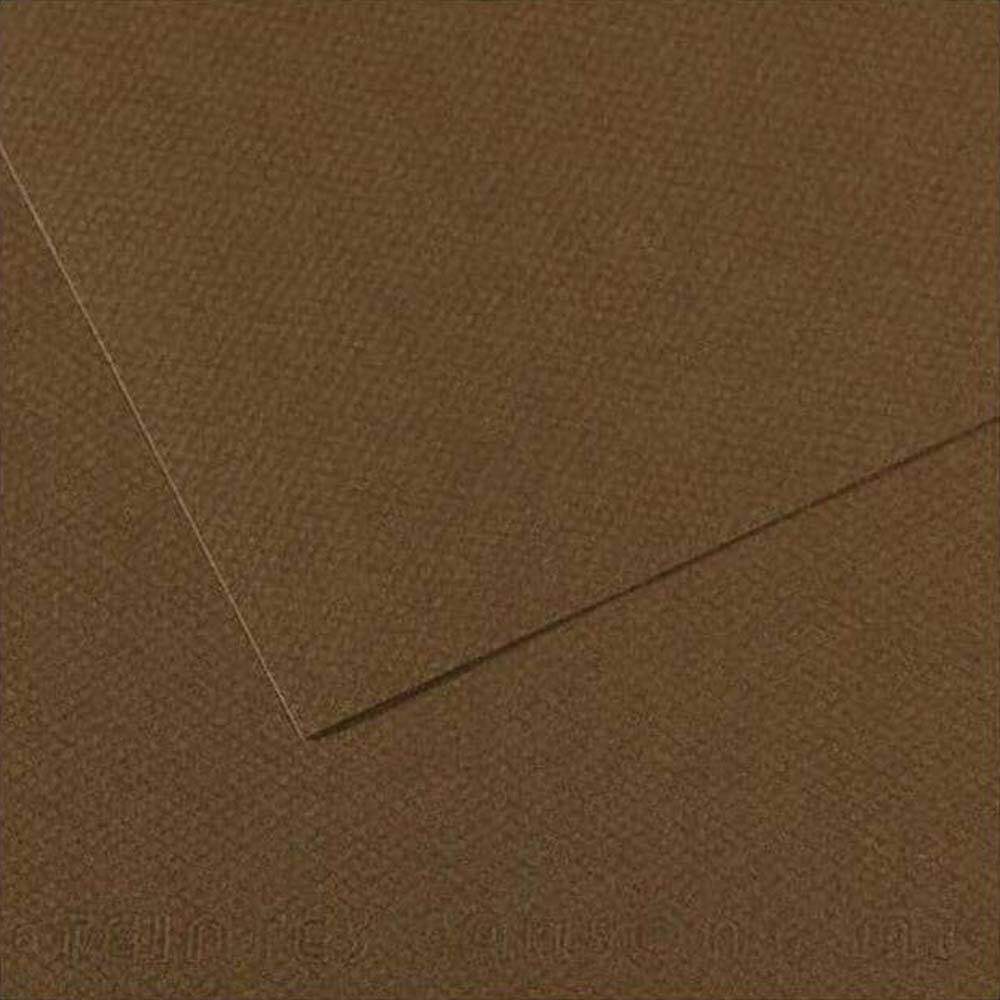Canson Mi-Teintes Pastel Kağıdı 50x65 160g Brown 501