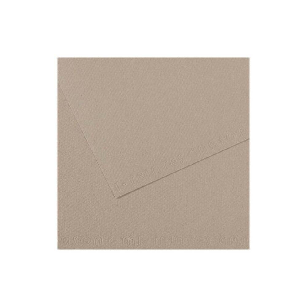 Canson Mi-Teintes Pastel Kağıdı 50x65 160g Grey 122